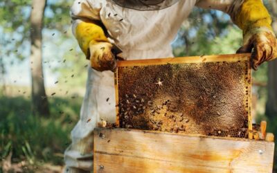 Ultimate guide to starting a beekeeping company in Kenya